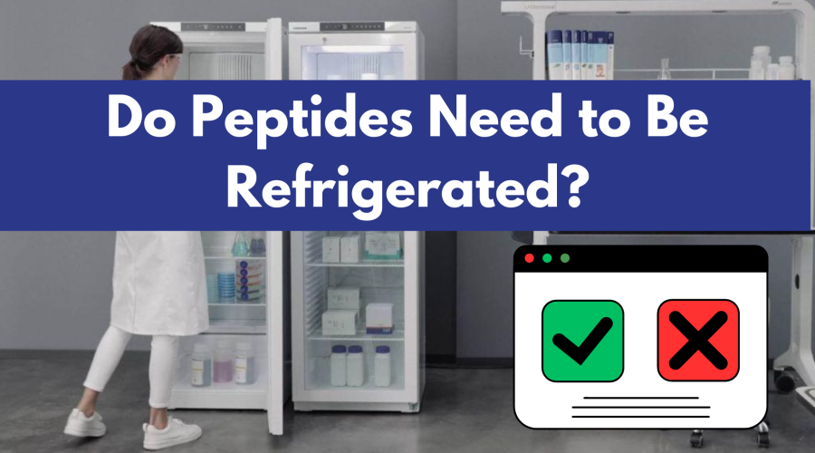 Do Peptides Need to Be Refrigerated? The Ultimate Storage Guide